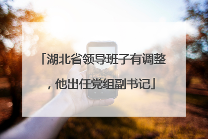 湖北省领导班子有调整，他出任党组副书记