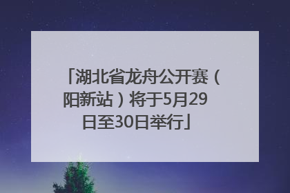 湖北省龙舟公开赛（阳新站）将于5月29日至30日举行