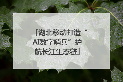 湖北移动打造“AI数字哨兵”护航长江生态链