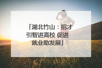 湖北竹山：招才引智进高校 促进就业助发展