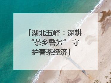 湖北五峰：深耕“茶乡警务” 守护春茶经济