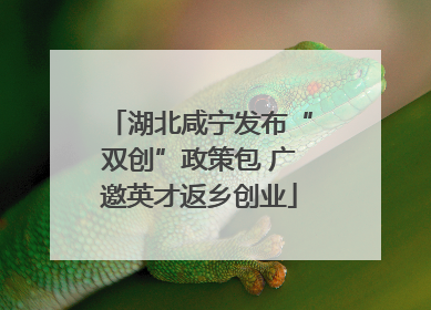 湖北咸宁发布“双创”政策包 广邀英才返乡创业