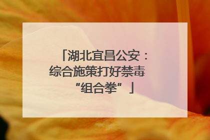湖北宜昌公安：综合施策打好禁毒“组合拳”