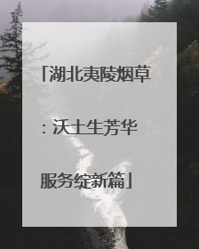 湖北夷陵烟草：沃土生芳华 服务绽新篇