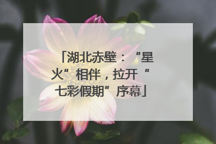 湖北赤壁：“星火”相伴，拉开“七彩假期”序幕