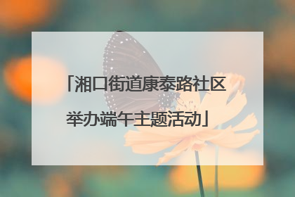 湘口街道康泰路社区举办端午主题活动