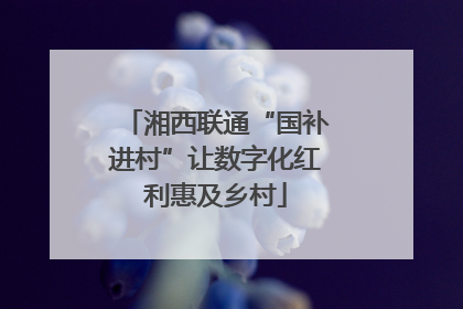 湘西联通“国补进村”让数字化红利惠及乡村