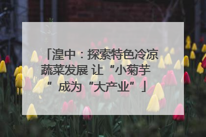 湟中：探索特色冷凉蔬菜发展 让“小菊芋”成为“大产业”