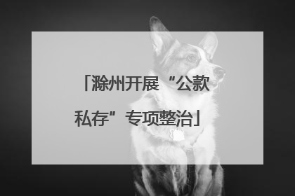 滁州开展“公款私存”专项整治