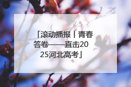 滚动播报丨青春答卷——直击2025河北高考