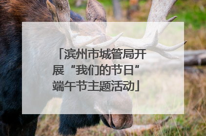 滨州市城管局开展“我们的节日”端午节主题活动