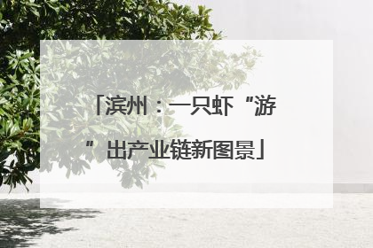 滨州：一只虾“游”出产业链新图景