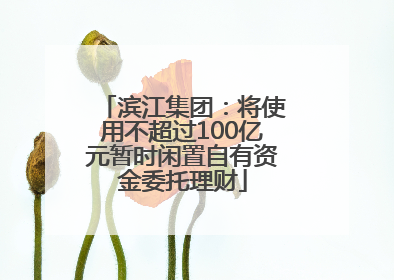 滨江集团：将使用不超过100亿元暂时闲置自有资金委托理财