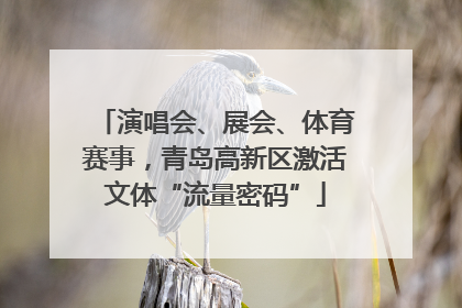 演唱会、展会、体育赛事，青岛高新区激活文体“流量密码”