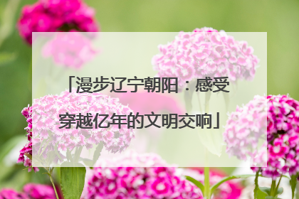 漫步辽宁朝阳：感受穿越亿年的文明交响