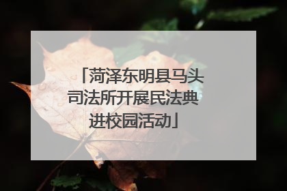 菏泽东明县马头司法所开展民法典进校园活动