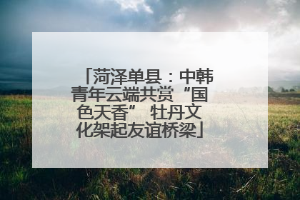 菏泽单县：中韩青年云端共赏“国色天香” 牡丹文化架起友谊桥梁
