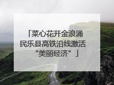 菜心花开金浪涌 民乐县高铁沿线激活“美丽经济”