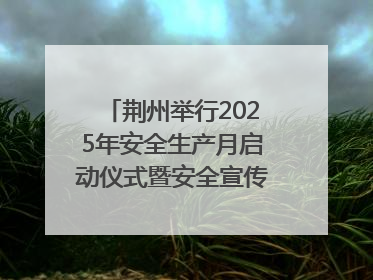 荆州举行2025年安全生产月启动仪式暨安全宣传咨询日活动