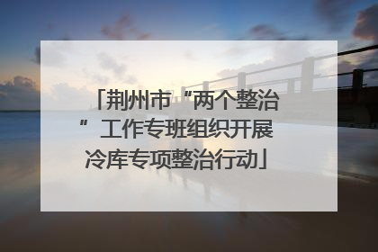 荆州市“两个整治”工作专班组织开展冷库专项整治行动