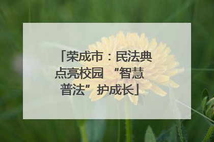 荣成市：民法典点亮校园 “智慧普法”护成长