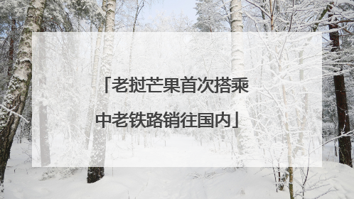 老挝芒果首次搭乘中老铁路销往国内