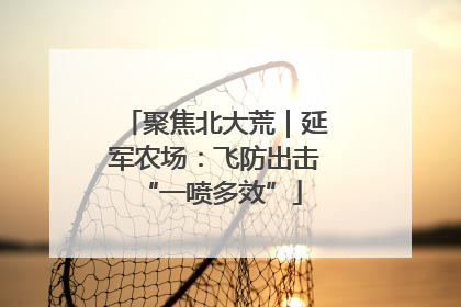 聚焦北大荒｜延军农场：飞防出击 “一喷多效”