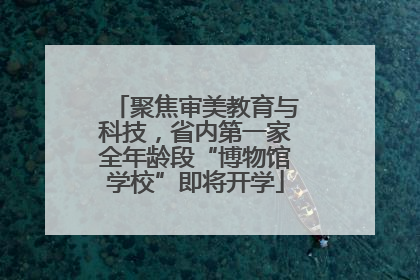 聚焦审美教育与科技，省内第一家全年龄段“博物馆学校”即将开学