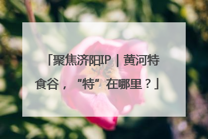 聚焦济阳IP｜黄河特食谷，“特”在哪里？