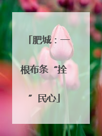 肥城：一根布条“拴”民心