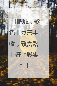 肥城：彩色土豆喜丰收，致富路上好“彩头”