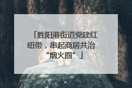 胜阳港街道党建红纽带，串起商居共治 “烟火圈”