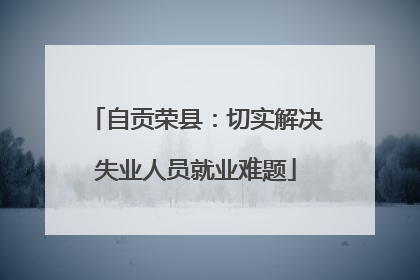 自贡荣县：切实解决失业人员就业难题