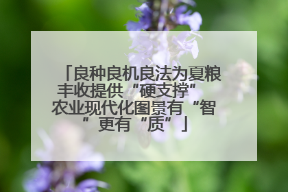 良种良机良法为夏粮丰收提供“硬支撑” 农业现代化图景有“智”更有“质”