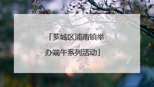 芗城区浦南镇举办端午系列活动