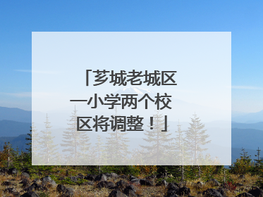 芗城老城区一小学两个校区将调整！