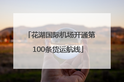 花湖国际机场开通第100条货运航线