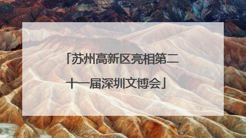 苏州高新区亮相第二十一届深圳文博会