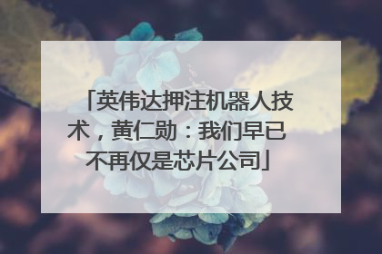 英伟达押注机器人技术，黄仁勋：我们早已不再仅是芯片公司