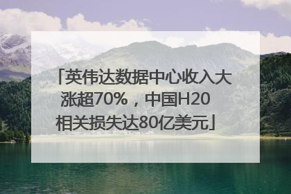 英伟达数据中心收入大涨超70%，中国H20相关损失达80亿美元