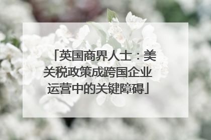 英国商界人士：美关税政策成跨国企业运营中的关键障碍