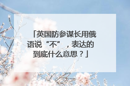 英国防参谋长用俄语说“不”，表达的到底什么意思？