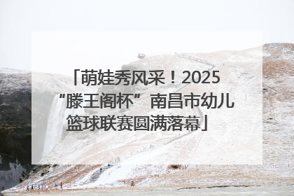 萌娃秀风采！2025“滕王阁杯”南昌市幼儿篮球联赛圆满落幕