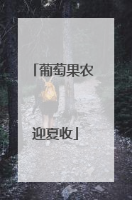 葡萄果农迎夏收