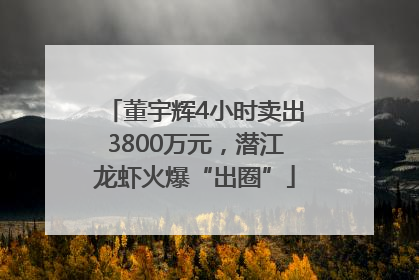 董宇辉4小时卖出3800万元，潜江龙虾火爆“出圈”