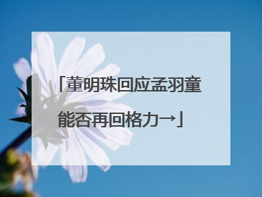 董明珠回应孟羽童能否再回格力→