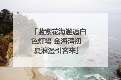 蓝紫花海邂逅白色灯塔 金海湾初夏浪漫引客来
