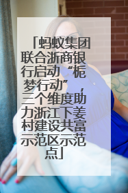 蚂蚁集团联合浙商银行启动“栀梦行动”，三个维度助力浙江下姜村建设共富示范区示范点