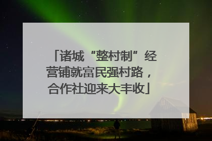 诸城“整村制”经营铺就富民强村路，合作社迎来大丰收