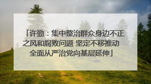 许勤：集中整治群众身边不正之风和腐败问题 坚定不移推动全面从严治党向基层延伸